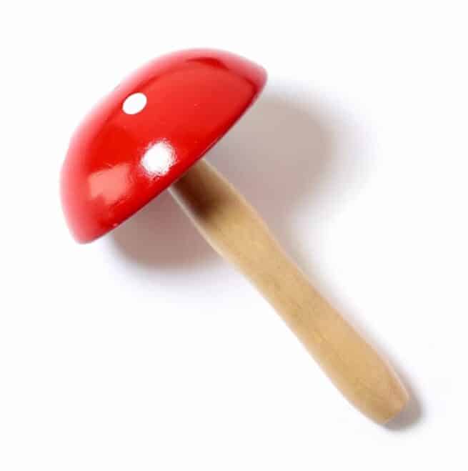 Parsinsieni